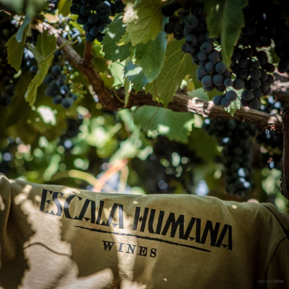 Escala Humana Wines