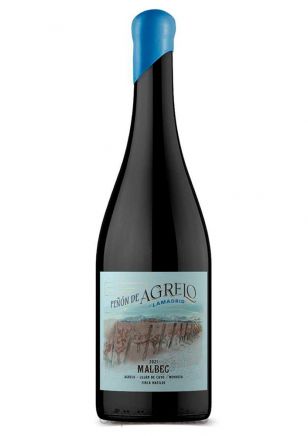 Peñon de Agrelo Malbec