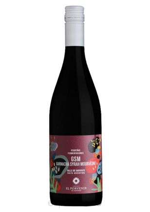 Pequeñas Fermentaciones GSM