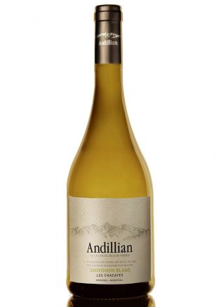 Andillian Sauvignon Blanc