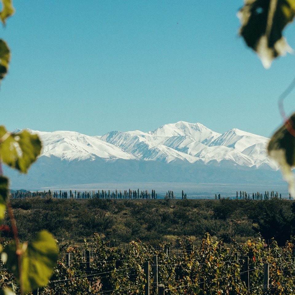 La Coste de los Andes