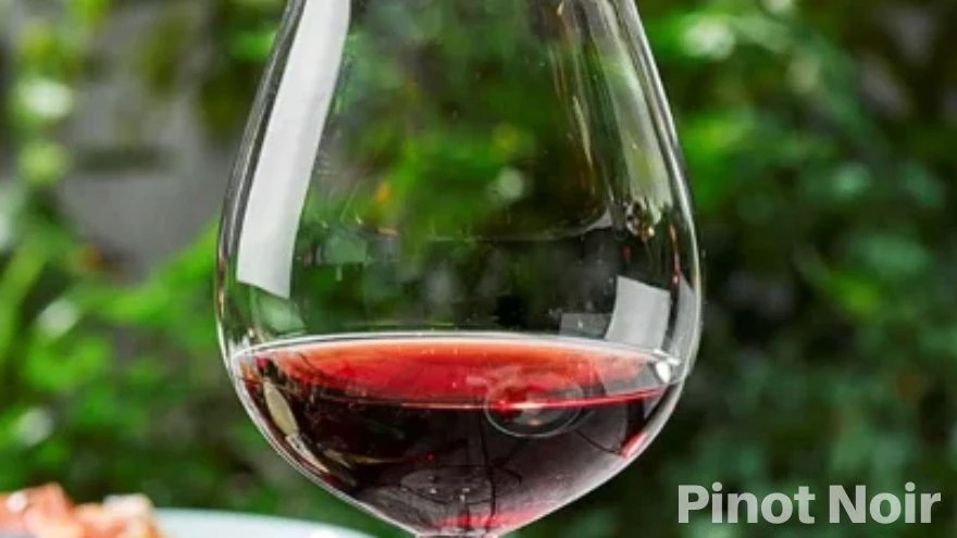 5 Pinot Noir que marcaron un hito entre los vinos argentinos y que debés probar