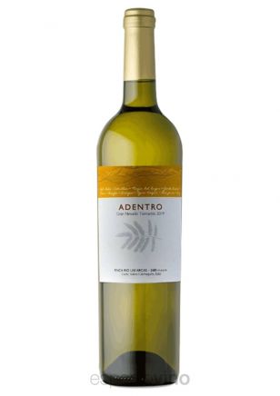 Gran Nevado Torrontés