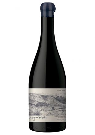 Un Lugar en Los Andes Pinot Noir