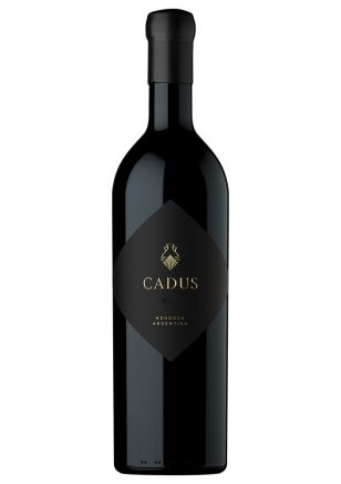 Cadus Icono