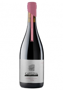 Cantina No Tradicional Tesoros Ocultos Riesling