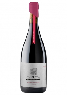 Cantina No Tradicional Tesoros Ocultos Croatina