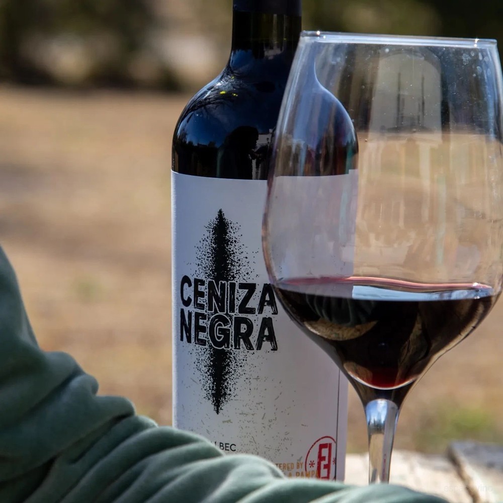 Huella Pampa Wines