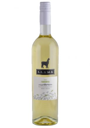 Llama Torrontés