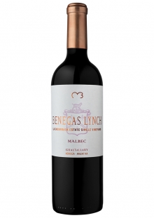Benegas Lynch Malbec