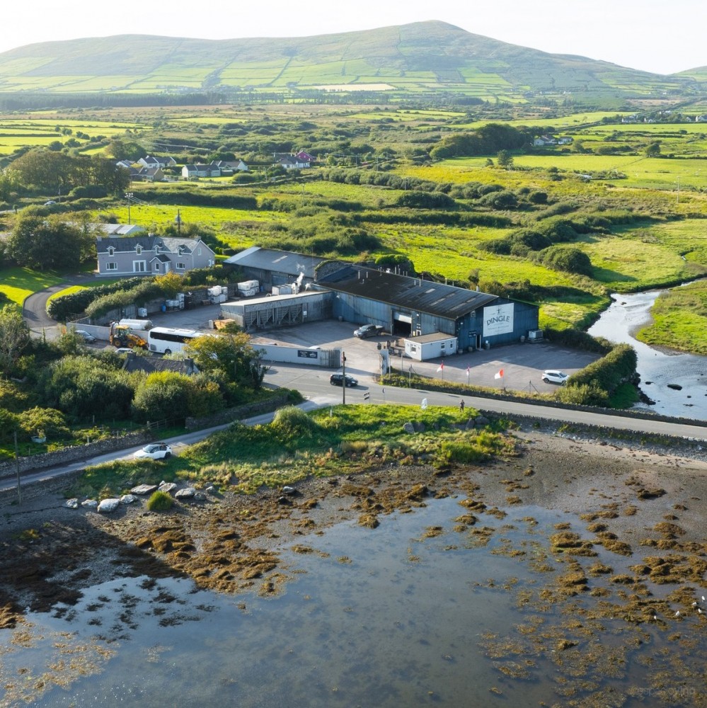 Dingle