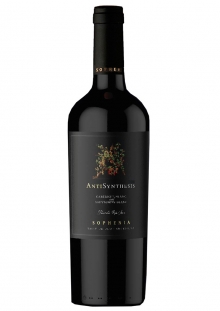 Sophenia Antisynthesis Parcela Río Seco Blend