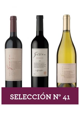 Selección Nro 41 - Familia Gascón 3x750 ml