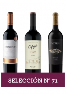 Selección Nro 71 - Salta Cafayate Reserva 3x750 ml
