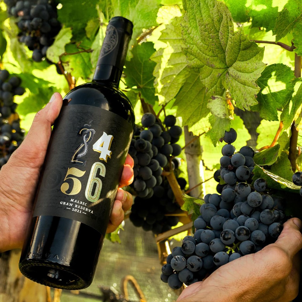 2456 Wines