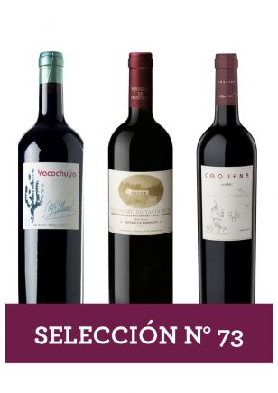 Selección Nro 73 - San Pedro de Yacochuya 3x750 ml