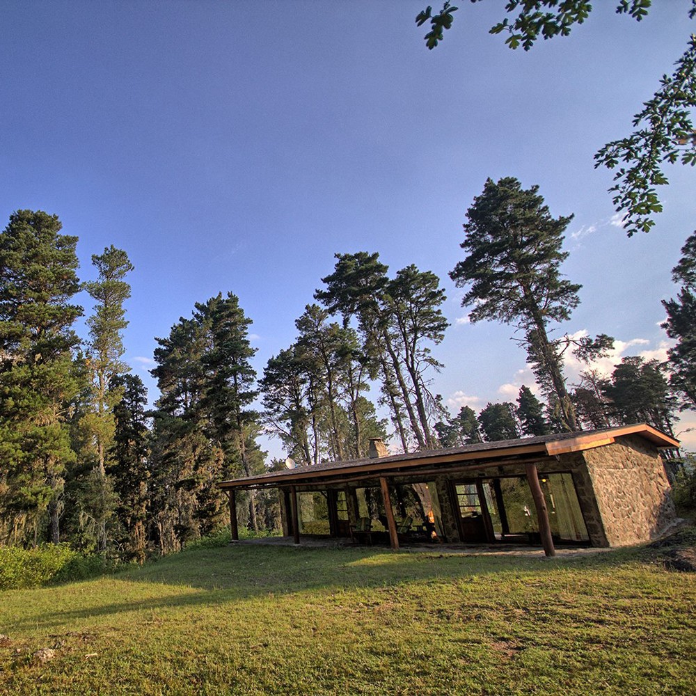 Estancia Las Cañitas