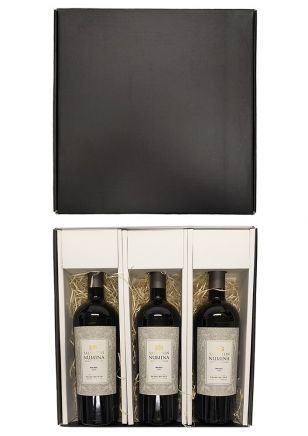 Estuche Numina Malbec x3