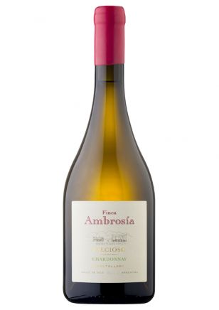 Precioso Chardonnay