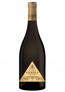 Alma Gemela Teroldego Chacayes