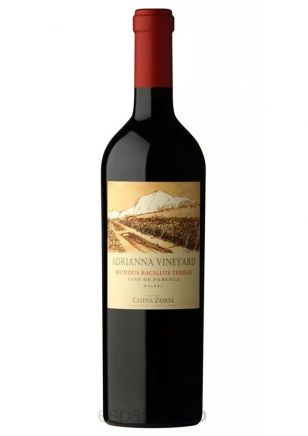 Adrianna Vineyard Mundus Bacillus Terrae Malbec 2021 - 100 Puntos Jane Anson