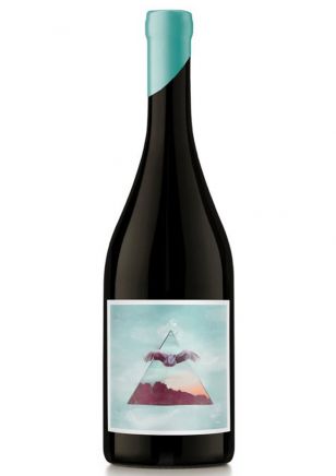Nodo Pinot Noir