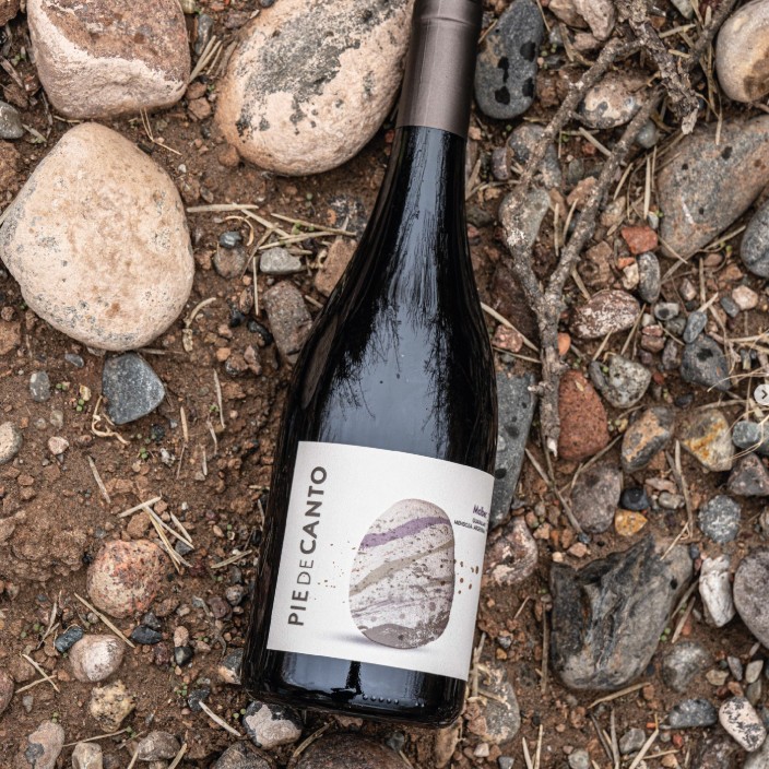 Los Cuadros Wines