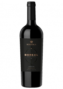 Huentala Block 3 Malbec