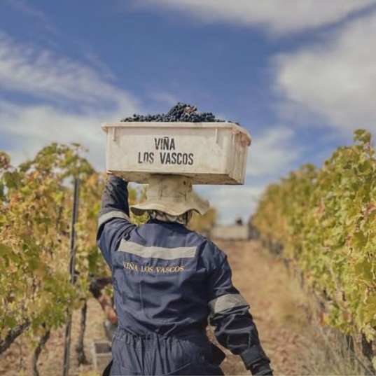 Los Vascos