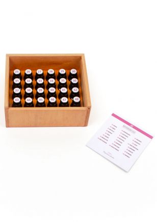 The Wine Nose Set de 24 Descriptores Aromáticos - Opción B