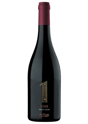 Antigal 1 Uno Pinot Noir