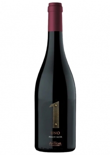 Antigal 1 Uno Pinot Noir
