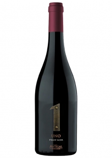 Antigal 1 Uno Pinot Noir